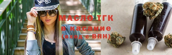 индика Верея
