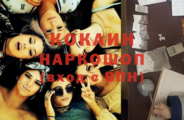 индика Верея