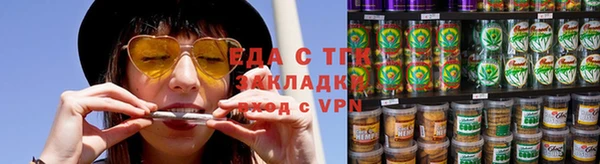 индика Верея