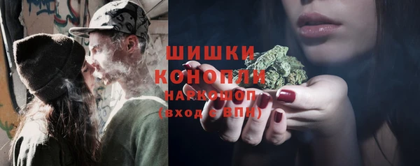 индика Верея