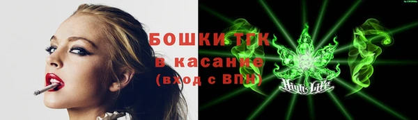индика Верея