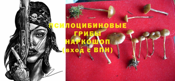индика Верея