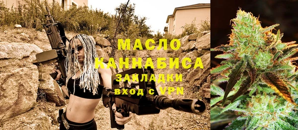 индика Верея