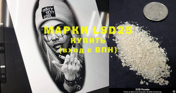 индика Верея