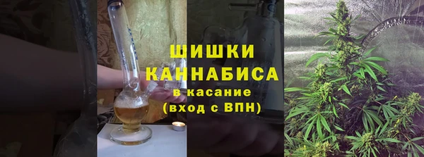 индика Верея