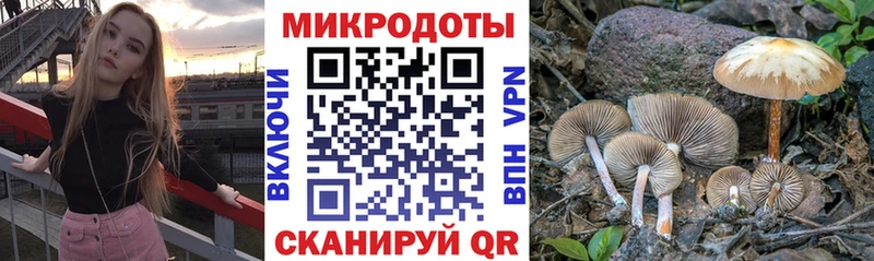 Галлюциногенные грибы Magic Shrooms  Вилючинск 