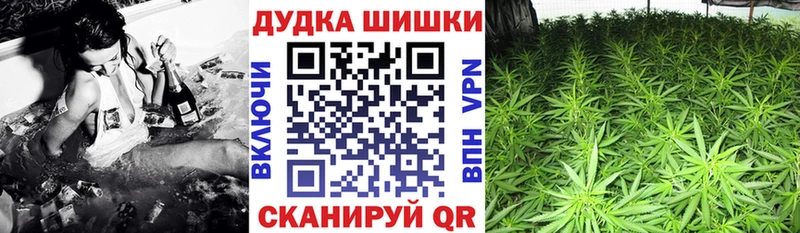 shop как зайти Вилючинск Бошки Шишки VHQ где продают наркотики